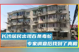 长沙居民出现百条毒蛇清理后越清越多，专家调查后找到了真相视频封面