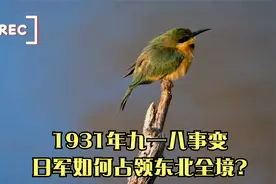 1931年九一八事变,日军如何占领东北全境?视频封面