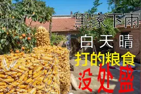 黑家（晚上）下雨，白天晴，打的粮食没处盛！「农谚系列」