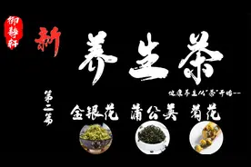 新《百味养生茶》之 金银花 蒲公英 菊花