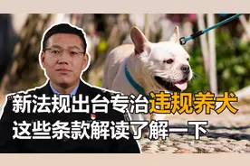 遛狗不牵绳违法？新规出台专治违规养犬，这些条款解读了解一下！视频封面