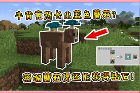 我的世界模组：牛背竟然长出蓝色蘑菇？蒸馏蘑菇煲还能获得钻石！