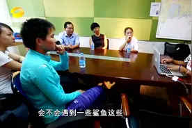 在海里遇到鲨鱼很危险，但专业潜水摄影师，却说出规避风险好办法视频封面