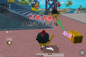 和平精英：变成小鸡居然可以逃出乱斗场！