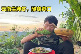 云南生腌虾的做法，加小米辣、柠檬酸辣爽口，流浪哥还是喜欢这味