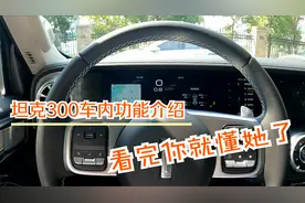 浪叔超详细介绍坦克300车内功能，看完你一定比销售更懂这台车了视频封面