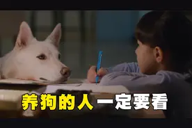 流浪狗落难，女人将其救回家后，竟用生命来报恩！催泪剧情片视频封面