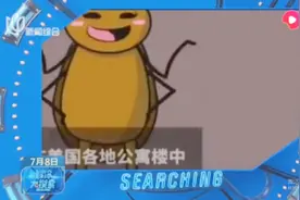 美国一研究显示，多种化学杀虫剂对蟑螂无效，未来需要用物理手段视频封面