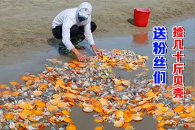 阿聪到无人沙滩赶海，5小时捡几十斤彩色贝壳，喜欢的朋友找我要视频封面