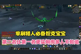 TBC怀旧服猎人最能抗的六个宠物 第二名比第一名更有优势