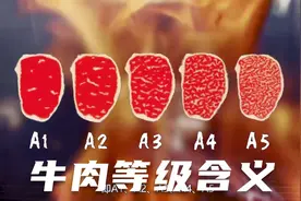 你了解和牛的评级吗？A5和M9都代表什么意思吗视频封面