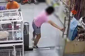 女孩宠物店内推门夹死小猫被网暴，店长发声视频封面