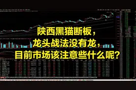 陕西黑猫断板，龙头战法没有龙，目前市场该注意些什么呢？视频封面