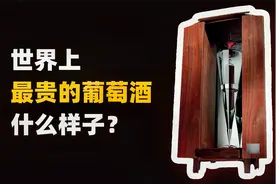 世界上最贵的葡萄酒，是什么样子的？视频封面