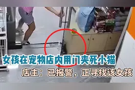 东莞宠物店女孩用门夹死小猫 律师:虐杀动物可能受治安处罚或刑罚视频封面
