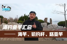 海钓中鱼竿那些我们应该知道的重点，海竿&矶钓杆&路亚杆视频封面
