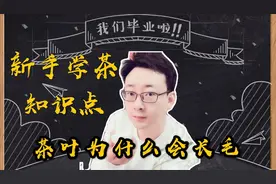 茶叶为什么会长绒毛？它是啥？又有什么特点？看完就懂。视频封面