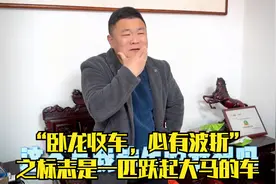 “卧龙收车，必有波折”之标志是一匹跃起大马的车