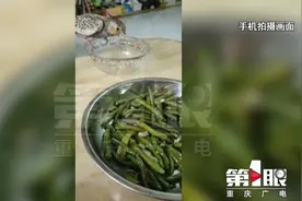 明星鹦鹉“点点”跟取快递的跑了！ “家人”天天想念它视频封面