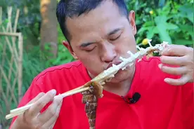 680买条人工养殖鳄鱼，大锅卤2小时麻辣十足，今天吃开心了视频封面