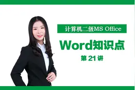 Word知识点第21讲：样式视频封面