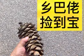 贵州楚雄紫溪山看包头王，捡到宝贝，免费房车营地，露营太舒服了