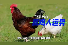 不同年龄层次的属鸡人的运势视频封面