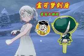 宝可梦剑盾冠之雪原DLC伽勒尔地区蕾冠王捕捉攻略