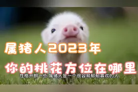 属猪人2023年你的桃花方位在哪里 西南方容易有正缘视频封面