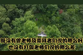 惠东曾子南作品，如小马过河，既没有曾老师及崇拜者们说的那么好