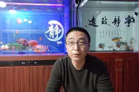 蝴蝶鲤可以和什么观赏鱼混养，应该如何投喂？视频封面