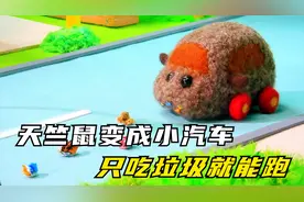 天竺鼠变成“小汽车”，只吃垃圾就能跑！高分动画《天竺鼠车车》