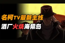 名柯动画最新主线！酒厂火烧海猿岛 红黑再度正面对决！视频封面