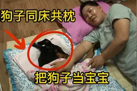 女子和狗子同床共枕，把狗子宠成了孩子，背后故事太感人视频封面