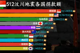 地震无情人间有爱，512汶川地震各国捐款TOP100，多少都是爱