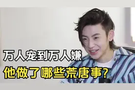 王琳凯：从“万人捧”到“万人嫌”，他到底做了哪些荒唐事？