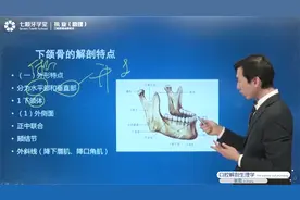 口腔执业/助理：口解—下颌骨的解剖特点考点精讲#七颗牙学堂