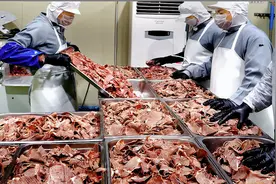 体校自爆食堂5年食谱，体育生喂不饱？15吨牛骨2000体育生吃上瘾视频封面