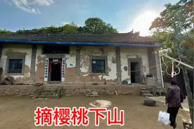 山里樱桃太多没人吃，走时我妈和伯母都给摘，小小的樱桃满满的爱视频封面