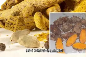 食用姜黄有以下好处：抗氧化、抗炎、改善消化、降血脂、抗癌视频封面