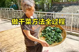 妈妈教你做干菜吃，真是太简单了，一学就会！你喜欢吃干菜吗？视频封面