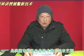 猪肝钓甲鱼的绝技秘诀科学高效捕鳖,一抓一个准！“瓮中捉鳖”