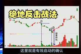 绝地反击战法！只需掌握底部高量阴线的3个条件，与主力同步建仓视频封面