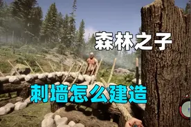 完全保护！森林之子刺墙建造教程，真的很安全