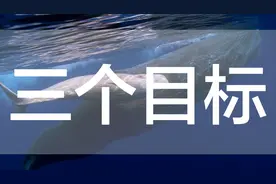 经验分享-3-服务极致化3个要点4分视频封面