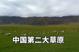 自驾到达天山中的巴音布鲁克大草原，这是中国第二大的草原视频封面