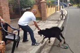 四川话搞笑配音：恭喜你，你彻底把我惹毛了！