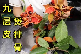老家正好种有一颗九层皮果，梁师傅用它来煲排骨，夏天吃太适合了