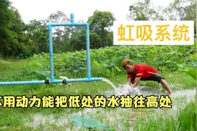 无动力抽水装置，把低处的水抽往高处，其实这就是虹吸原理。