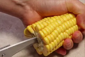 剥玉米原来这么简单，一把剪刀就搞定，1秒1个，方法太实用了